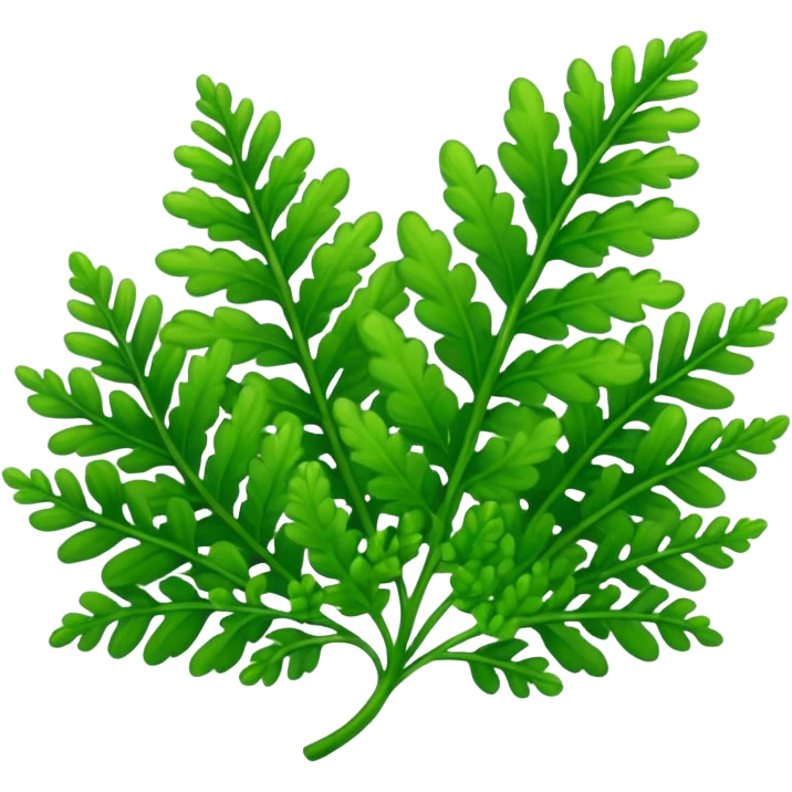Selaginella emoji