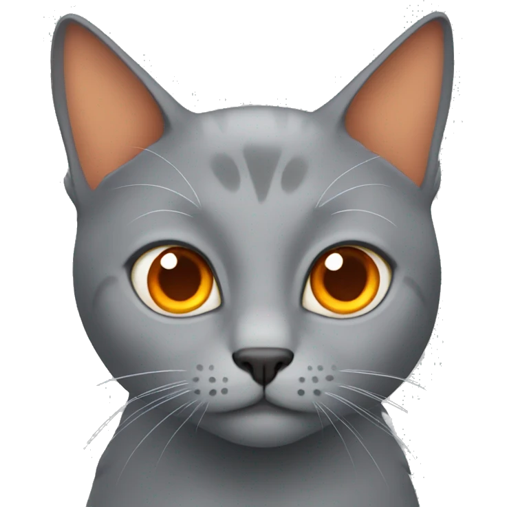 Grey cat with orange eyebrows  emoji