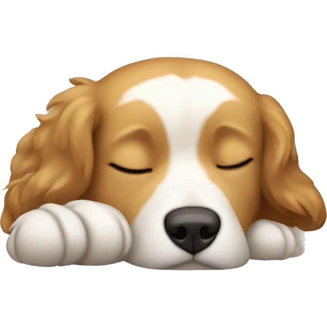 Light brown Tibetan mix dog sleeping  emoji