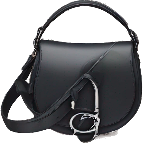 dior saddle bag with Dior print emoji