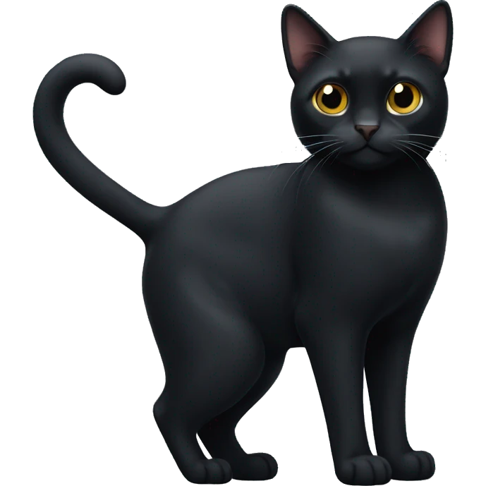 Bombay black cat with a small white spot on his chest emoji