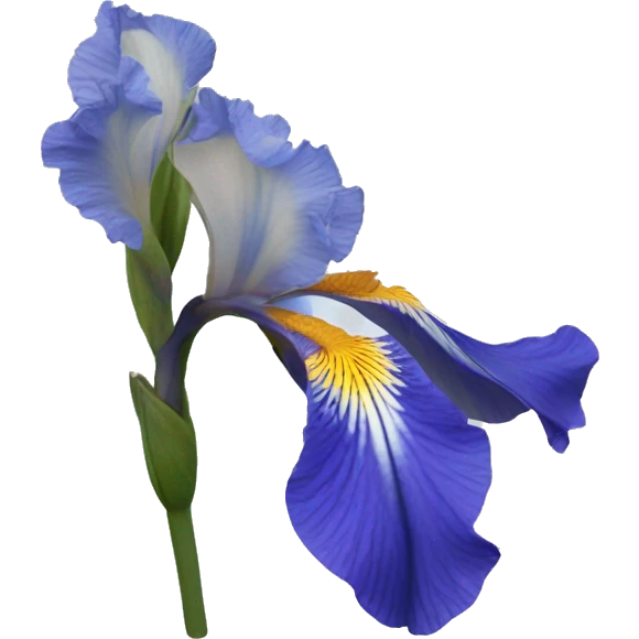 Blue Iris flower emoji