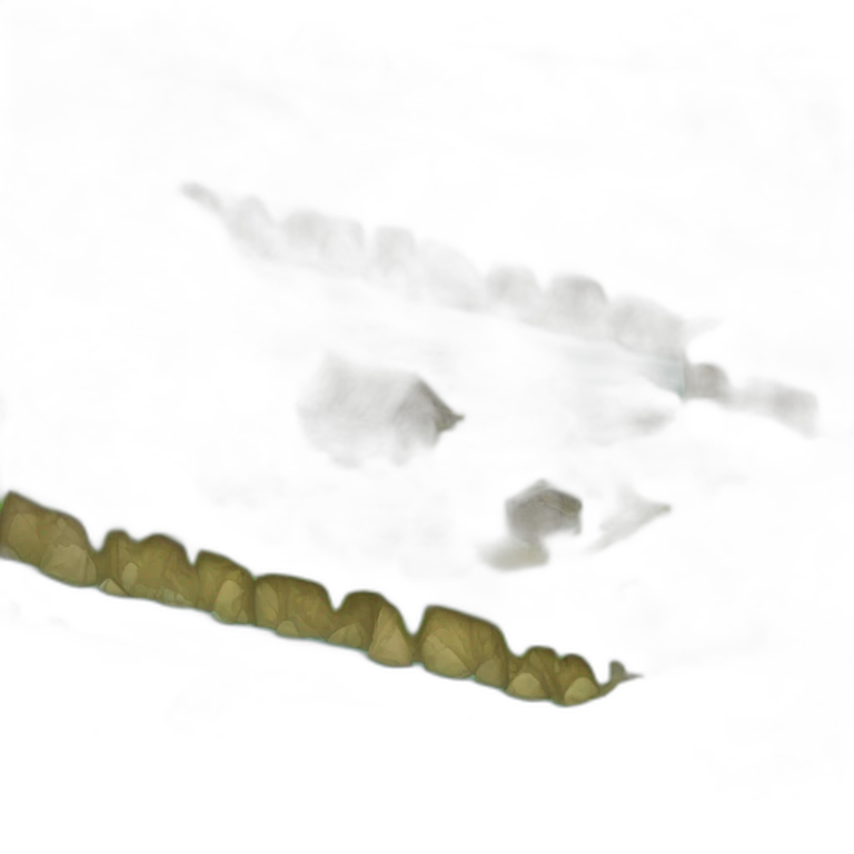 Land emoji