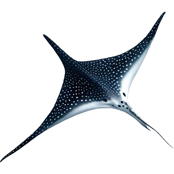 Black with white dots eagle ray emoji