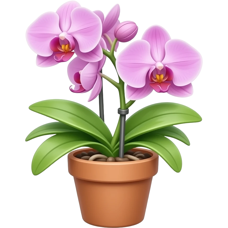 Orquídea em um pote emoji