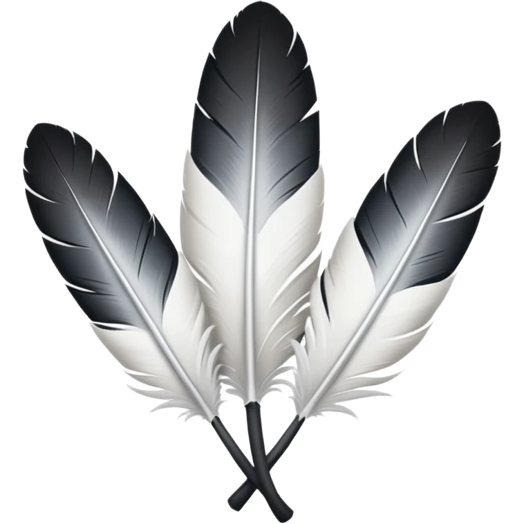 Prends la 1ere image avec les 3 plumes blanches et les stylos et ajoute en dessous le logo de largus emoji