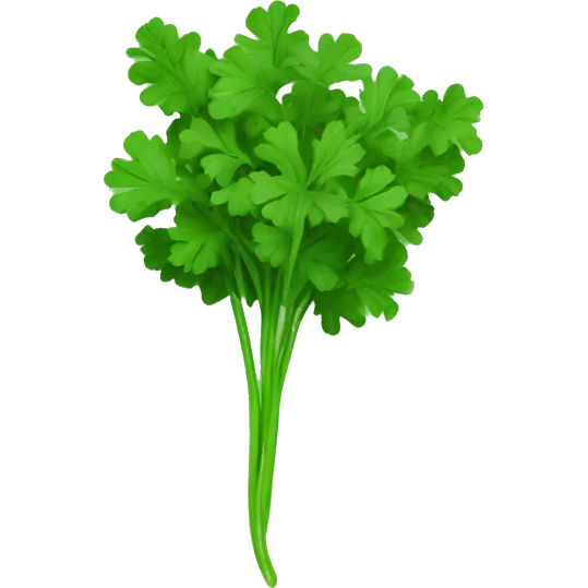 coriander on a green flag emoji