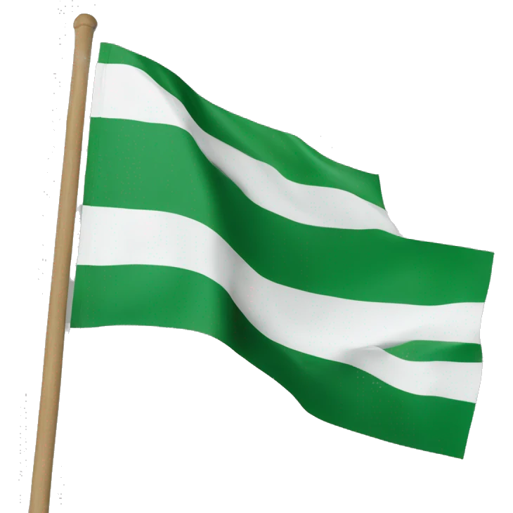 3 horizontal lines flag green white and black in a stick  emoji