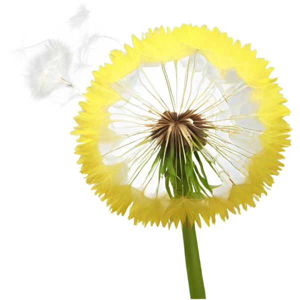 Dandelion blowing away emoji