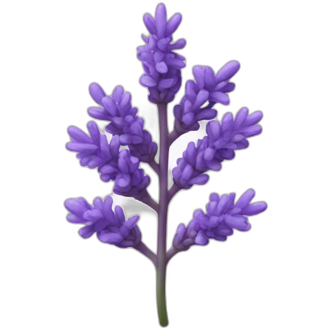 aroma-lavanda emoji