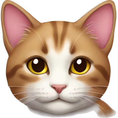 Cat cherry blossoms  emoji