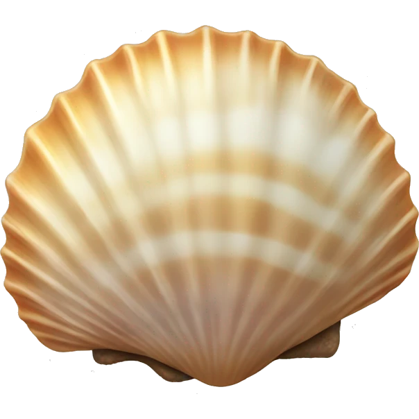 seashell summer  emoji