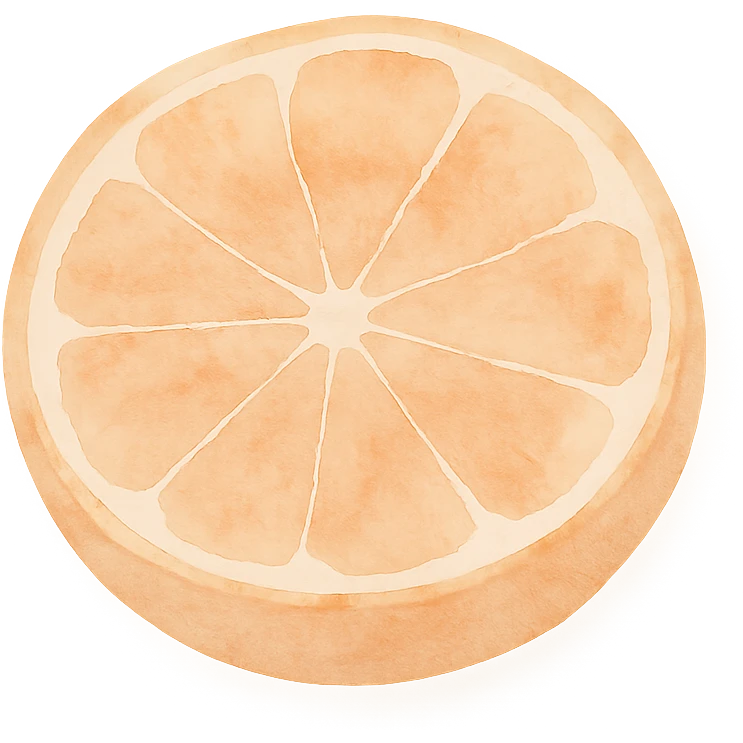 a sliced orange, showing the segments, watercolor art style emoji