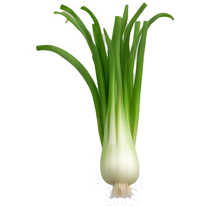 spring onion emoji