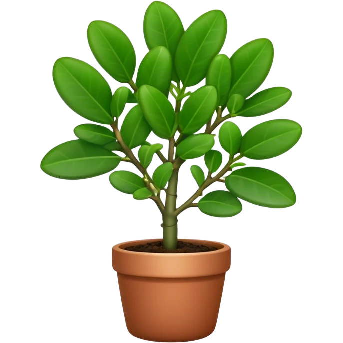 Cinematic Realistic Jade Plant Emoji, Thick and glossy, with dark green, round leaves that shine under the light. The sturdy stems and vibrant foliage give a sense of prosperity and tranquility. Soft glowing outline, capturing the essence of good luck, growth, and natural elegance in a flourishing jade plant! emoji