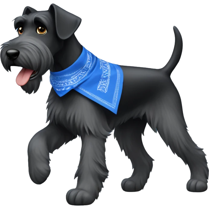 Giant schnauzer running around with a blue bandanna  emoji