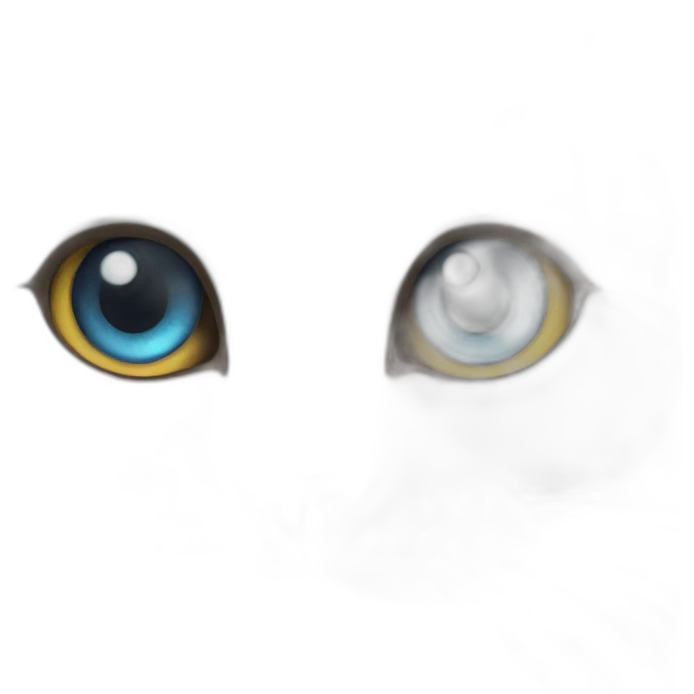 Cat with eye emoji