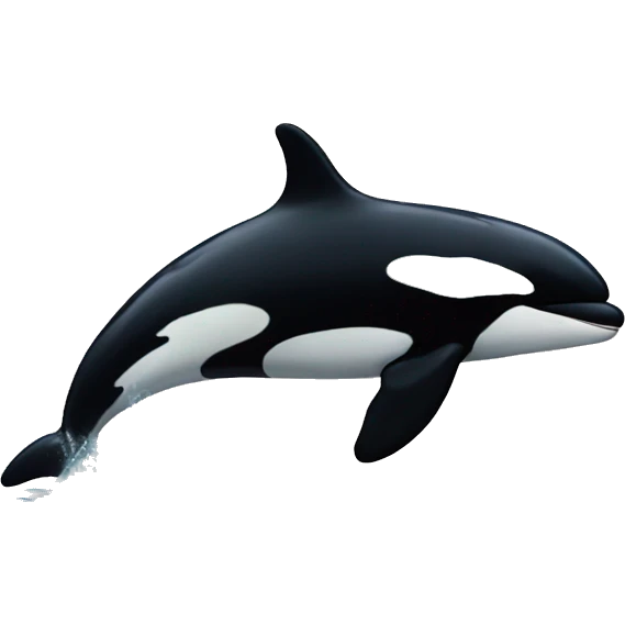 Orcas are calm emoji