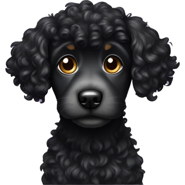 small black curly haired dog emoji