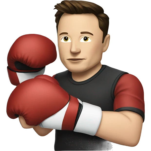 Elon musk with boxing gloves  emoji