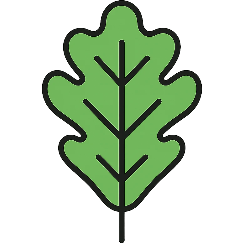 oak leaf icon, color outline style emoji
