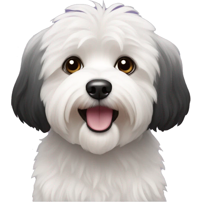 Black coloured dog bichon havanese go crazy emoji