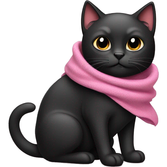 Black cat with pink blanket  emoji