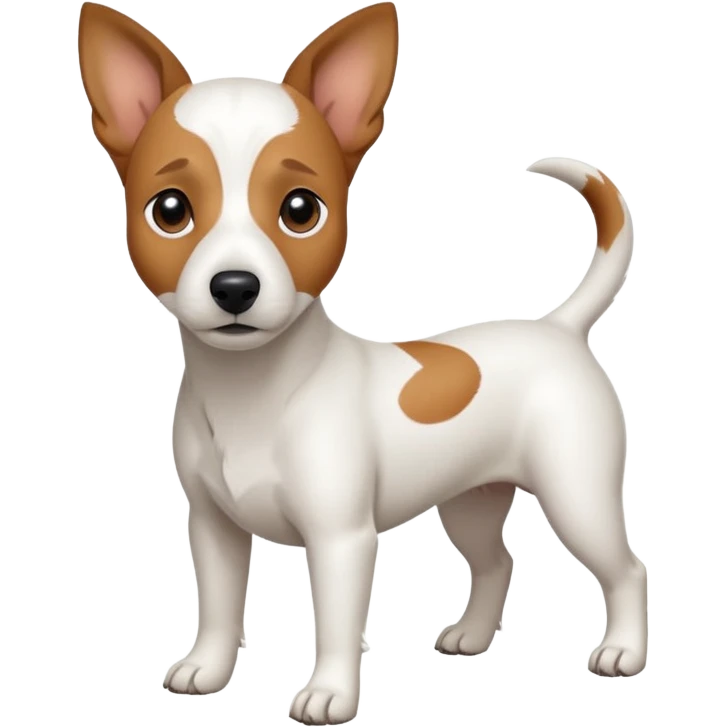 a full body white jack russel looking dog the size of a kelpie with light brown ears and a light brown patch on one eye, flopped down ears and a large snout emoji