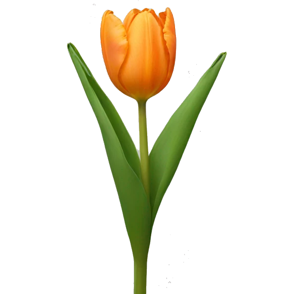 Pale orange tulip emoji