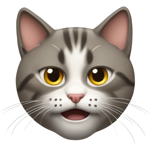 Cat mad emoji