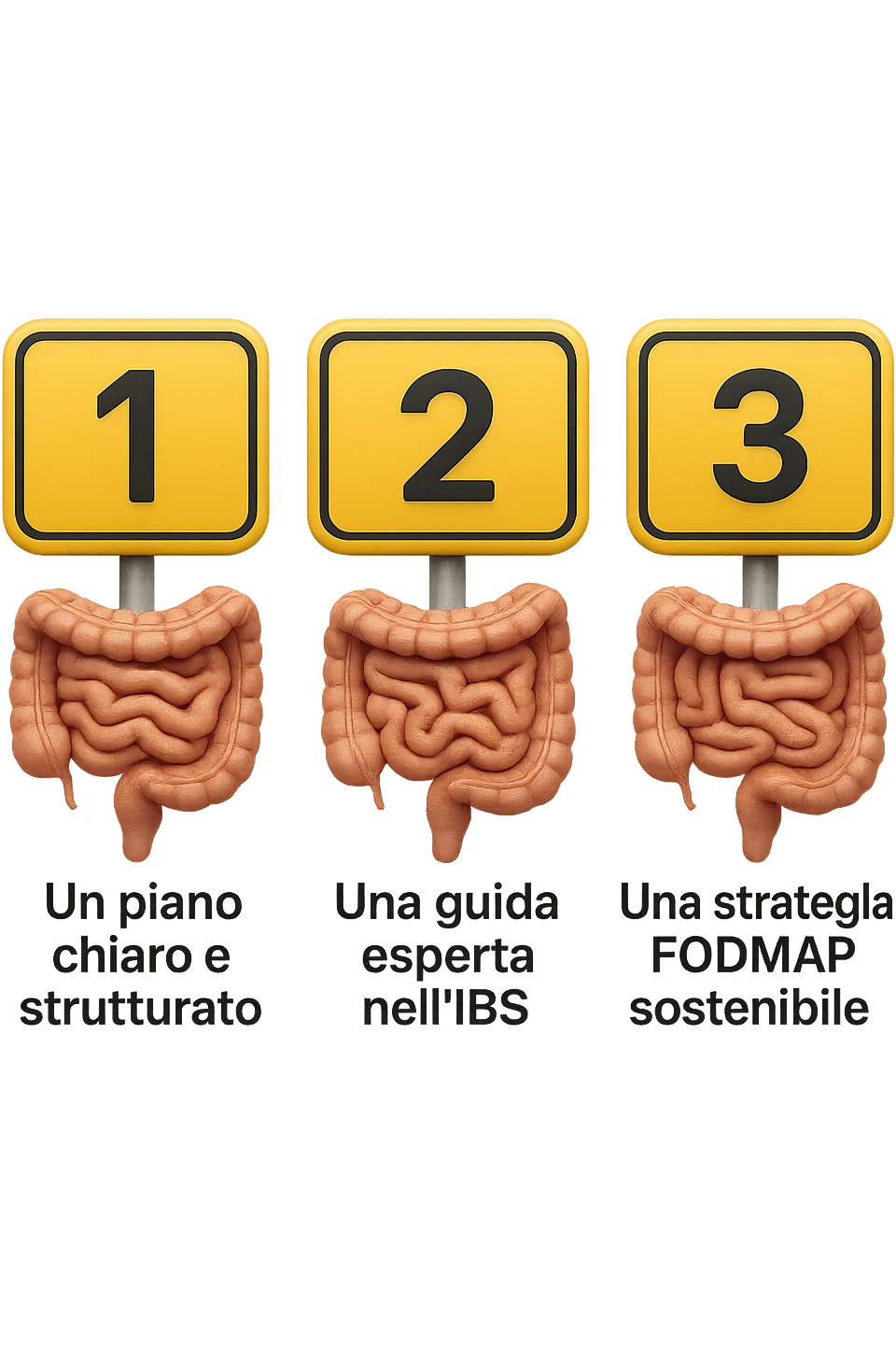 emoji stile iphone di 3 targhette numerate con intestino realistico davanti ad ogni targhetta, le targhette sono:
"1 – Un piano chiaro e strutturato
2 – Una guida esperta nell’IBS
3 – Una strategia FODMAP sostenibile"
, iperrealistico 4k emoji