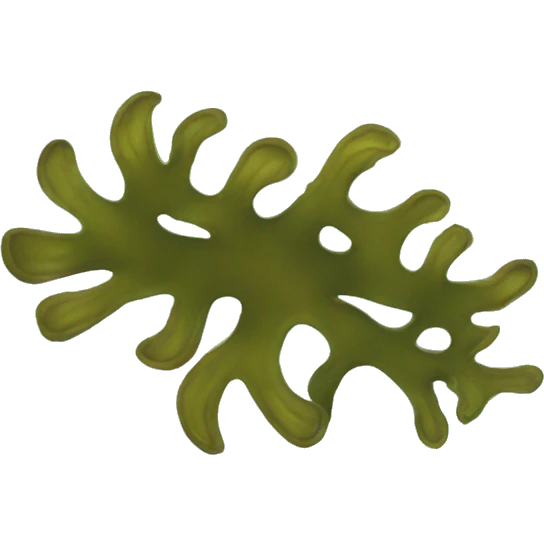 kelp emoji