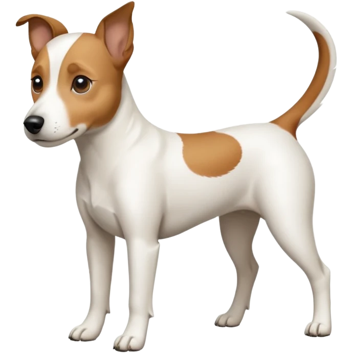 a full body white jack russel looking dog the size of a kelpie with light brown ears and a light brown patch on one eye, flopped down ears and a large snout emoji