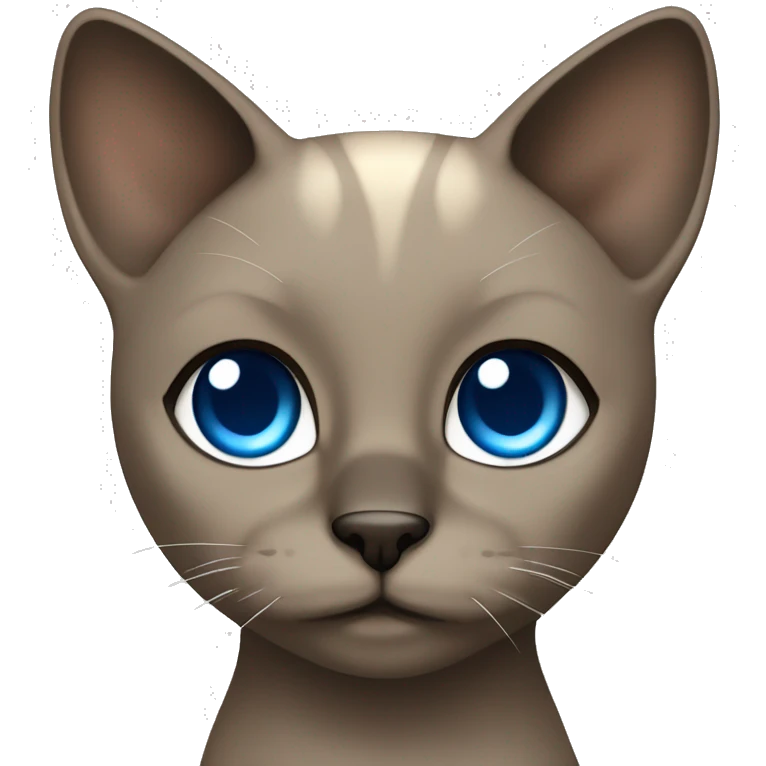 Dark Brown face - beige body and ears female siamise cat with blue eyes  emoji