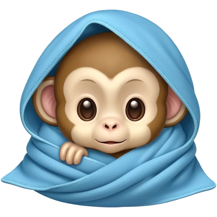 Baby monkey wrap around a blanket  emoji