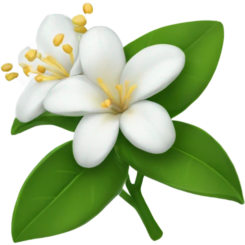 jasmine flower emoji