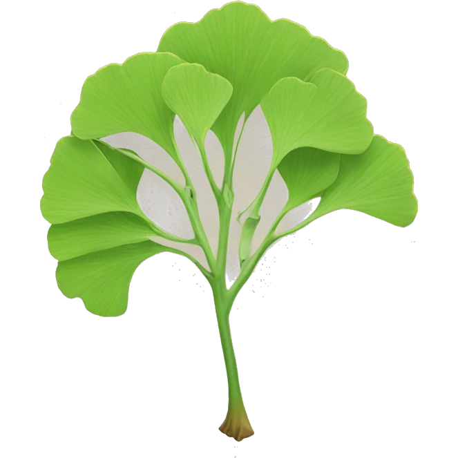 Ginkgo biloba  emoji