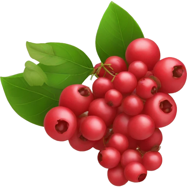 5 red berries with leaves emoji