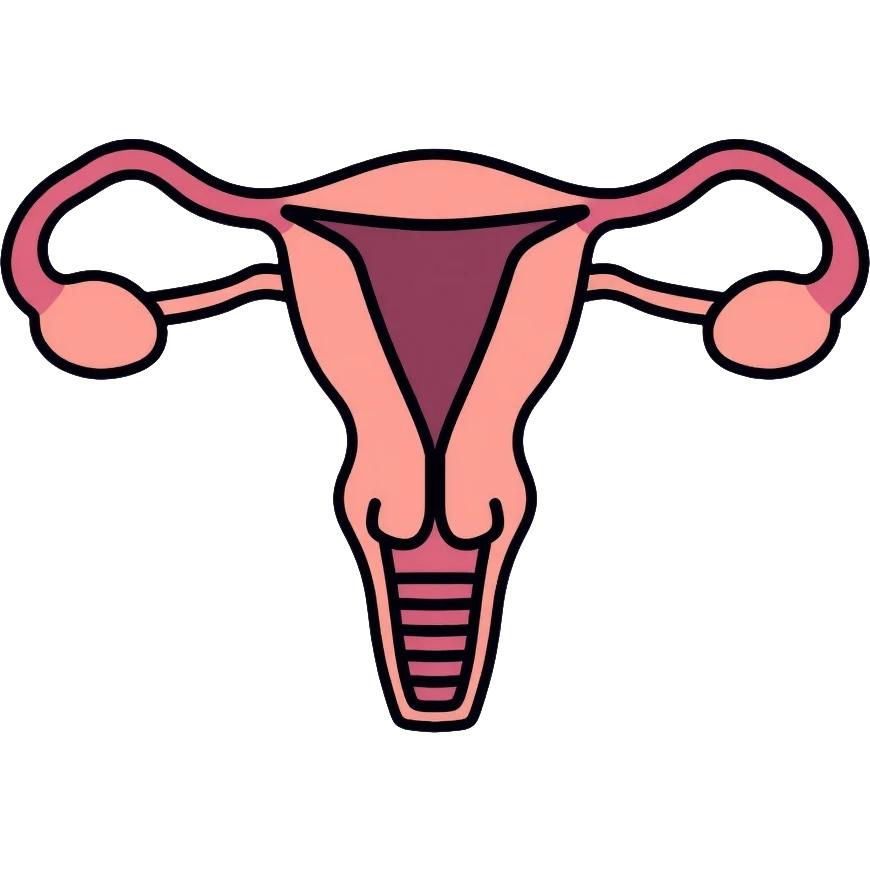 simple medical diagram of male reproductive anatomy, tasteful, anatomical emoji