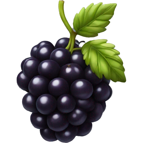 black berry  emoji