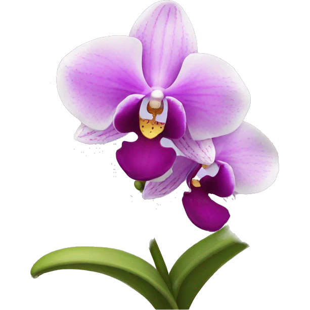 orchid flower emoji