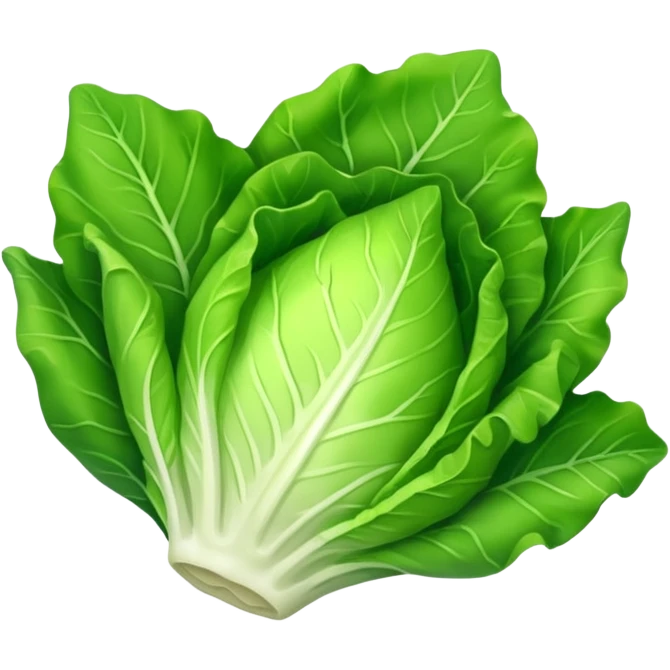 lettuce one  leaf  emoji