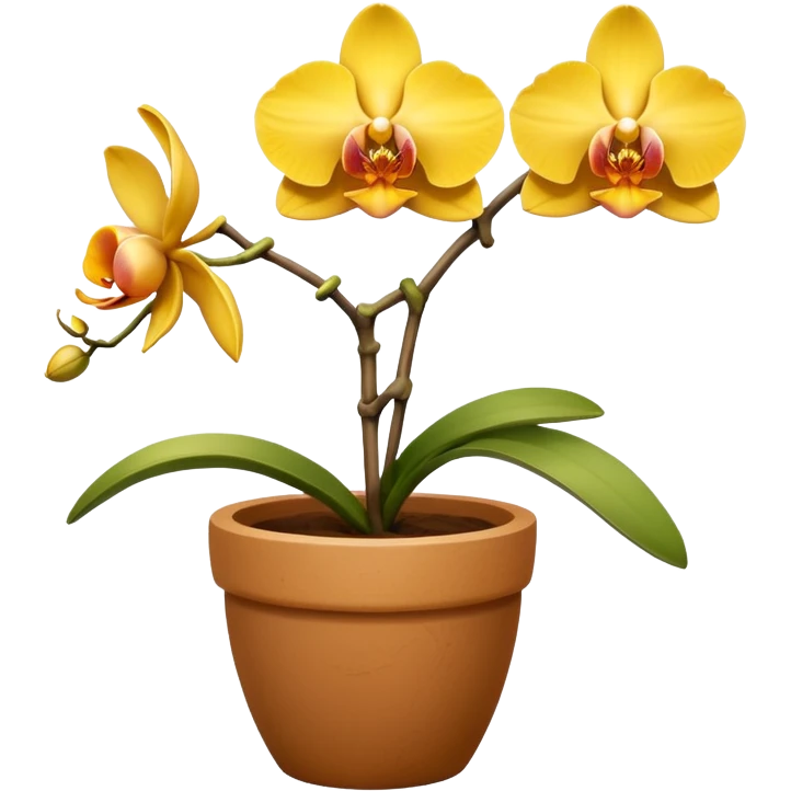 yellow Orchid in a clay pot emoji