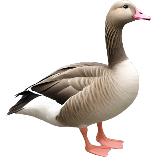 Pink-footed goose whole goose emoji