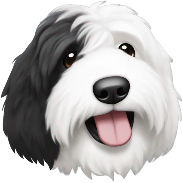 Old English sheepdog with a half and half face like a black and white cookie emoji