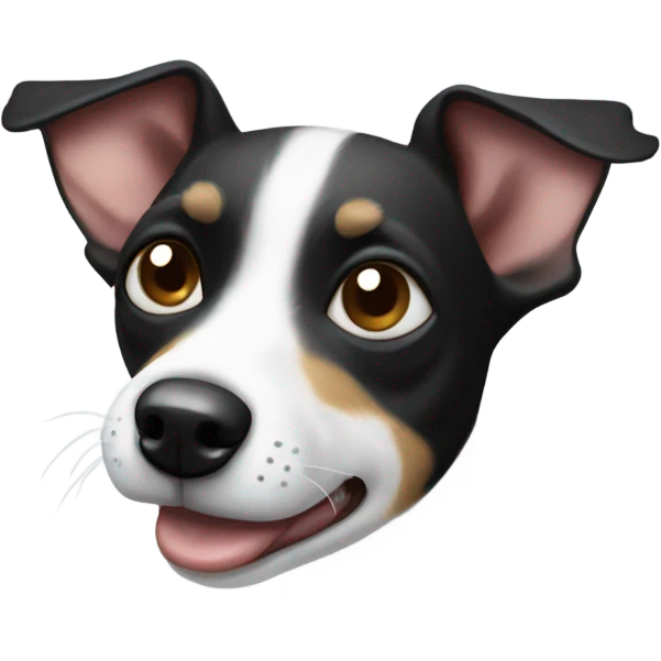 Black and white Rat Terrier feeling nauseated  emoji