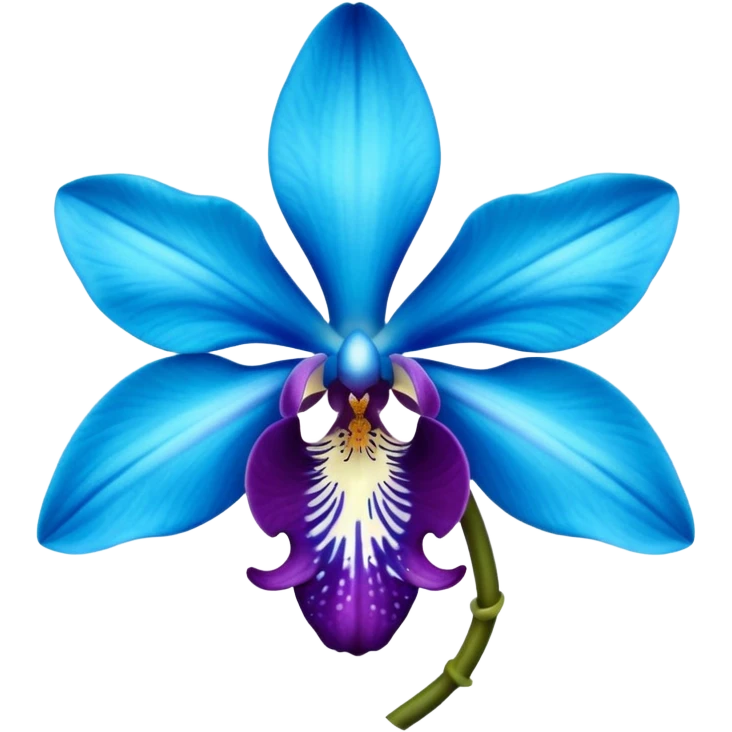 royal blue and cyan orchid emoji