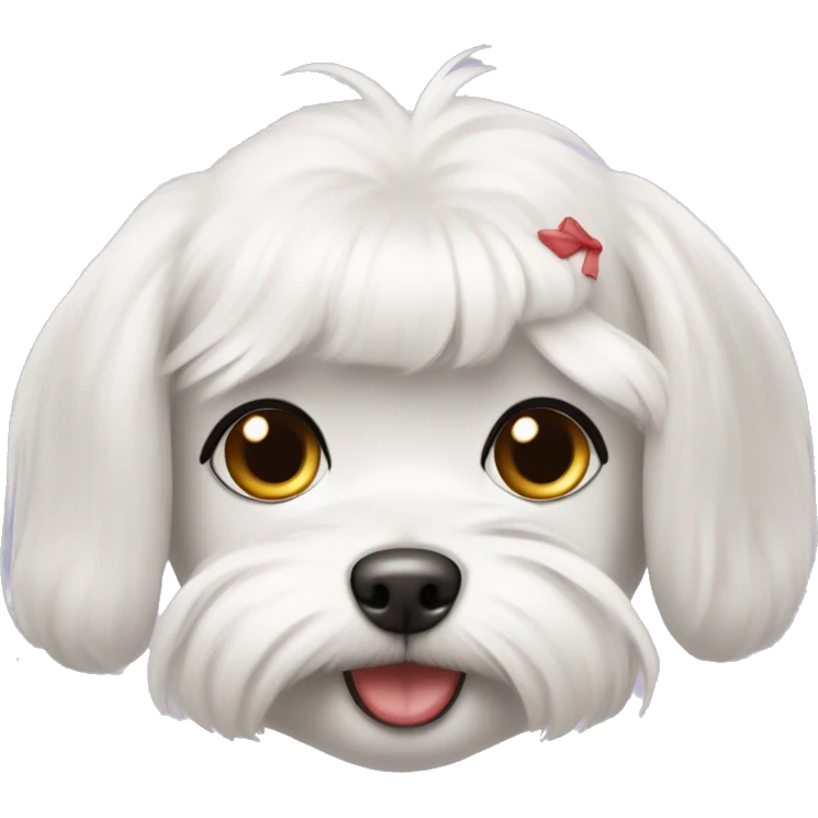 female maltese with red-ish pink nose and cute round haircut  emoji