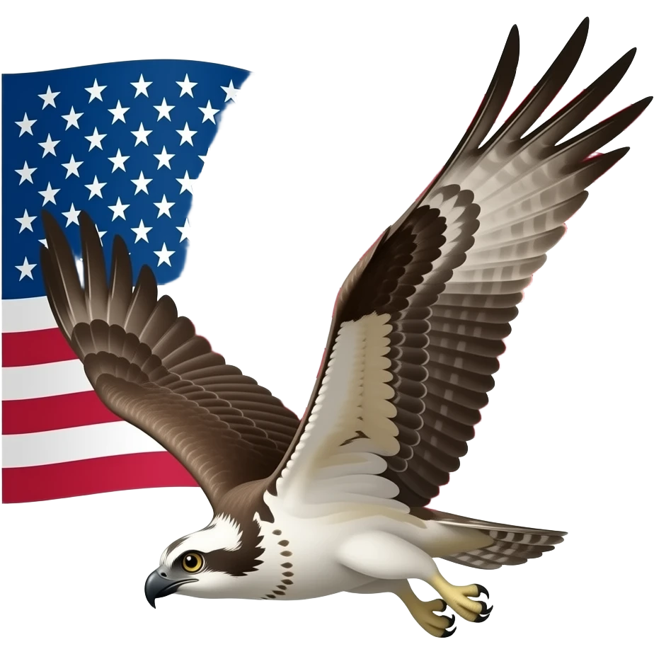 Osprey emoji flying with america flag in the back emoji