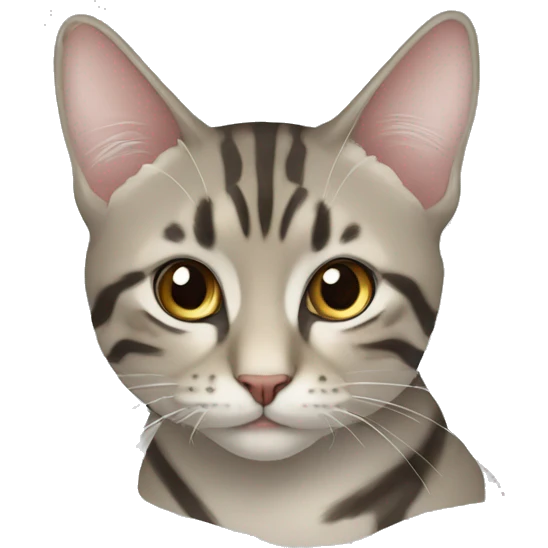 чуя с котом emoji